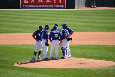 DSC_1605 (Large).JPG